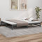 BaraSh Tagesbett Ausziehbar Ausziehbett Bett Zum Ausziehen Sofa Bett Daybed Sofa Bett Mit Ausziehbett Grau 2X(90x200) cm Massivholz Kiefer