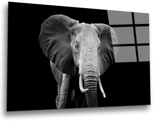 INDIGOS UG Luxus Glasbild - Elefant - 80x50 cm - ESG Echtglas bedruckt - Glasdruck - Wohnzimmer, Küche, Schlafzimmer, Badezimmer - Geschenk - Deko, Wandbild