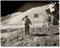 Lone Star Art Apollo 15 Mondlandungsfoto – 28 x 35 cm ungerahmter Druck – perfekte Vintage-Hausdekoration unter $10