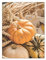 ABCWARRT Herbst Wald Holzhaus Landschaft Wandkunst Leinwand Malerei Kürbis Poster Ahornblatt Malerei Wand Poster Wohnzimmer Dekor (2,50 * 70cm Kein Rahmen)