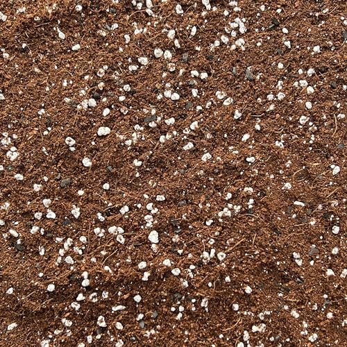 Terrarium Potting Mix with Perlite | Premium Blend for Vibrant Miniature Gardens | Lightweight and Well-Draining | Ideal for Succulents, Cacti, and Small Plants (10L)