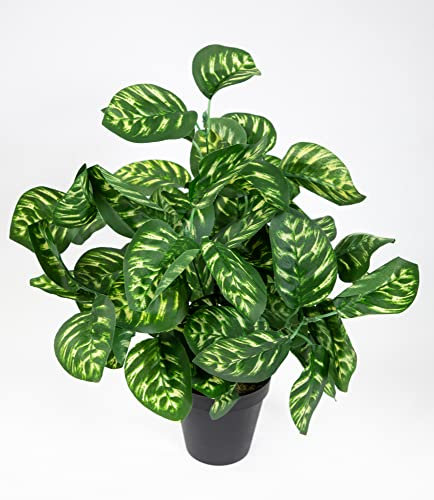 Seidenblumen Roß Calatheapflanze 38cm grün-gelb im Topf ZJ Kunstpflanzen künstliche Calathea Pflanzen Peacock
