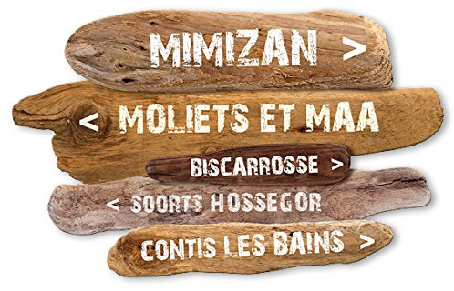 Vertikale Décoration Murale Flèches Effet Bois Flotté Plages des Landes 60 x 38 cm