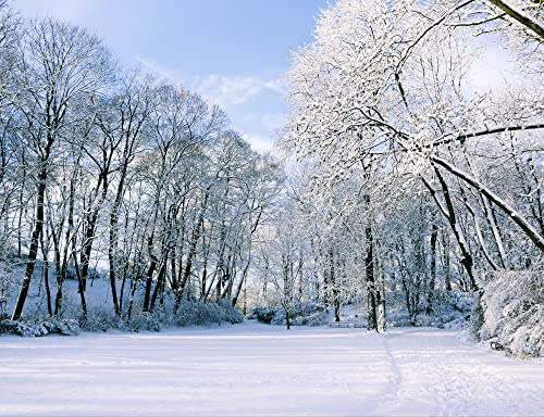 hansepuzzle 37441 - Winter Puzzle 1000 Teile - Natur-Puzzle mit hochwertiger Aufbewahrung: Kartonbox und wiederverschließbarem Beutel - Format 60 × 46 cm