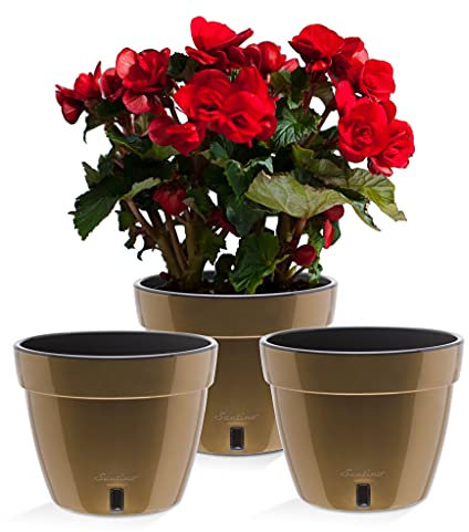 Santino ASTI - Set de 3 Macetas con Riego Automático con Indicador de Nivel de Agua, Redondas, para Interior, para Plantas, Flores, Hierbas (Ø 23,5 cm, Altura 18 cm, 6 L, Dorado/Negro)