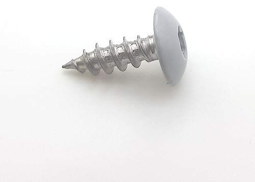 Vis pour penture 6x20 mm RAL 9006 aluminium blanc Inox A2 par 50