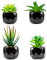 Plantes artificielles d'intérieur en pots, fausses plantes d'extérieur, mini pots en céramique noire, décoration pour chambre à coucher, esthétique, salon, décoration de bureau (4)
