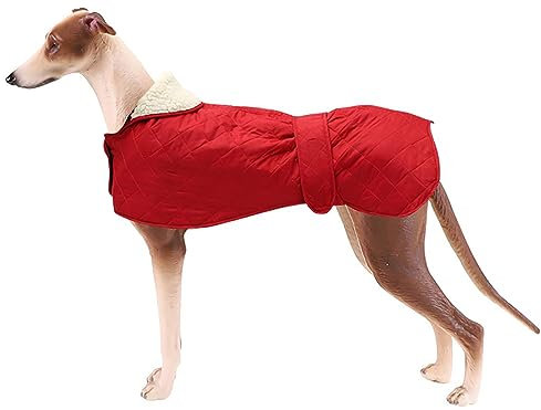 Geyecete - Windhund Warmer wintermantel, Hundemantel mit Dickes Steppfutter, verstellbaren Outdoor Hundejacke mit Geschirr Loch für mittel große Windhunde Whippet Lurcher Saluki -Rot-XS