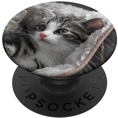 PopSockets graue Katze Cat Katzenbesitzer Katzenliebhaber & Katzenbaby PopSockets mit austauschbarem PopGrip