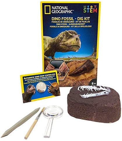 Bandai National Geographic-Kit de fouille : fossiles de dinosaures-version 2-Jeu scientifique et éducatif-STEM-JM80215, JM80215