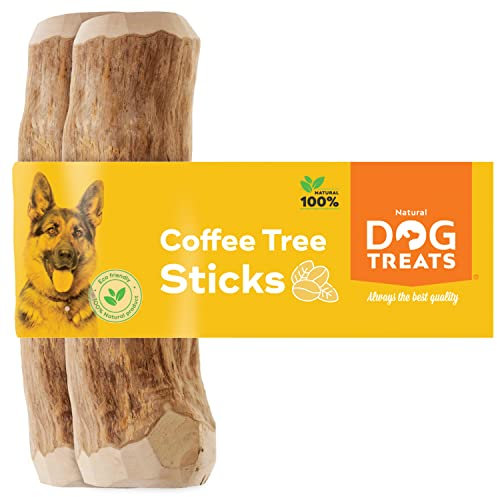 Natürlicher Kauknochen aus Kaffeeholz für Hunde und Welpen - Kaustab, Kauspielzeug, Hundespielzeug - L - 2U