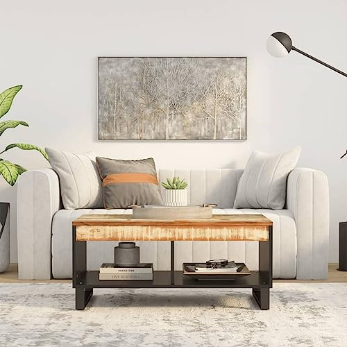 Woonisher Couchtisch 90x50x40 cm Massives Altholz Table Basse Salon Petite Table Jardin de