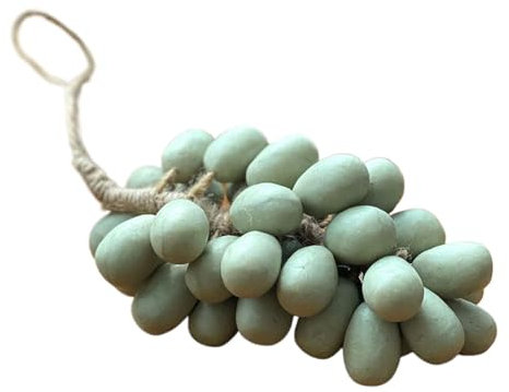Soaprella Graperie SOAPSAN ARTISAN, fragranza di uva Osmanthus, fragranza di frutta Jasmine 6G, il nostro processo fatto a mano, naturalmente per la moglie moglie fidanzata padre amico