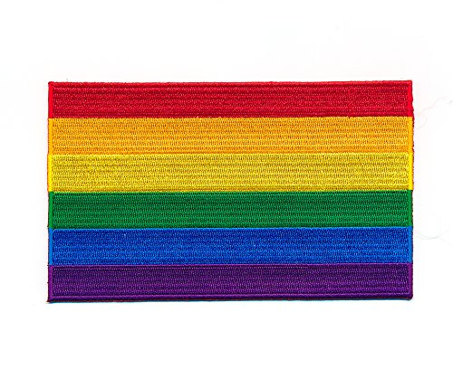 30 x 20 mm Regenbogen Flagge LGBT Pride Flag Patch Aufnäher Aufbügler 1035 Mini