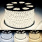 SILAMP Ruban LED Fin 50M 220V Recoupable 20cm IP65 2835 120LED/m - Blanc Neutre 4000K - 5500K