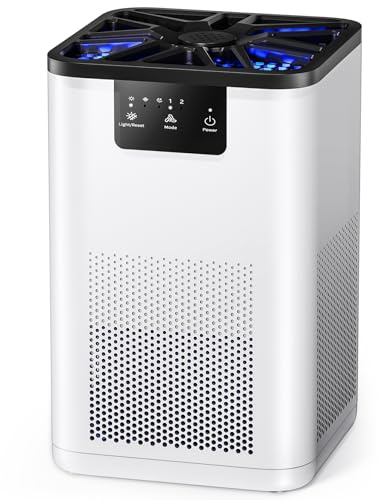 Air Purifier for Bedroom True H13 HEPA Air Purifier with 20dB Sleep Mode for Bacteria Virus Smoke Pollen Dander Hair Smell Use in Bedroom Office and Home