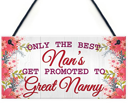 RED OCEAN BEST NANS Promoted To GREAT NANNY Pregnancy Gift Hanging Plaque New Baby Sign