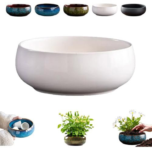 Lotus Bowl Pot de fleurs en céramique pour plantation dans l'eau à l'intérieur, pots pour plantes succulentes hydroponiques, esthétiques uniques et émaillés pour bonsaï (blanc)