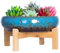 ARTKETTY Pot de Fleurs, Grand Pot de Succulentes avec Drainage Pot de Bonsaï Rond avec Support Pot en Céramique pour Plantes Cactus