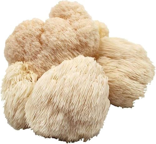 Bio Pom Pom Substratbrut - Pilze selber züchten
