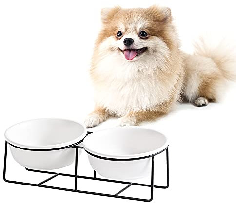Gamelle Chat Chien - Gamelle Chat Surélevée et Inclinée avec Support - Gamelle pour Chat et Petit Chien Choit en Ceramique - Double Anti Vomissements Orthopédique Bol pour Eau et Nourriture - 600 ml×2