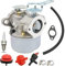 Caalii 640084B Vergaser, Schneefräse, Vergaser, kompatibel mit Tecumseh 5HP MTD 632107A 632107 640084 640084A Toro 521 Schneefräse HSSK40 HSSK50 HS50 LH195SA - für 640088 SA 4B Schneefräse Vergaser