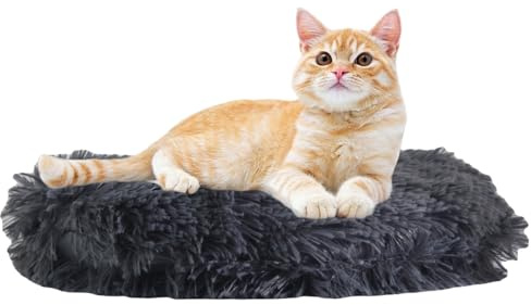 RICHRAIN Katzenkissen Rund, Plüsch-Ersatzkissen (Dunkelgrau, S 40cm) | Weicher Plüsch, katzenkissen rund, ideal für Kratzbaum & Katzenhöhle, maschinenwaschbar, wärmespeichernd