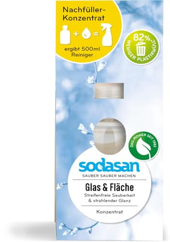 Glas & Fläche Konzentrat 2 x 100 ml