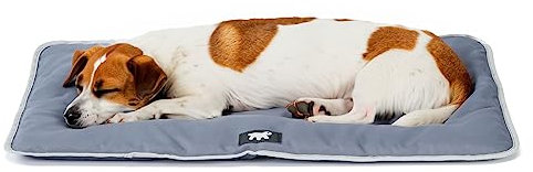 Ferplast Hundematte & Katzenmatte Klein - Waschbares Hundebett - Hundekissen - Wasserdicht & Kratzfest - Matte für Hundehütten und Auto, Hundekorb - Jolly - 65 x 48 cm, SM, GRAU
