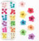 CHANGAR 3D Nail Art Dried Flowers Sticker 60 Five Petal Flower 12 Colours Natural Real Dry Flower Nail Art Decoration Beauty Nail Stickers for 3D Nail Art Acrylic UV Gel Tips(60 Flowers)