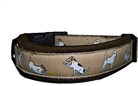 Hunde Halsband Jack Russell Terrier beige