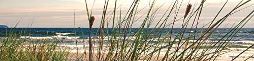ForWall Fototapete Küche Vlies Tapete Küsten-Gras Wanddeko VEK (250cm. x 60cm.) AMF10669VEK Natur Landschaft Maritim See Meer Ozean Gras