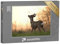 puzzleYOU: Puzzle 200 Teile „EIN REH genießt die morgendliche Ruhe“ – aus der Puzzle-Kollektion Rehe