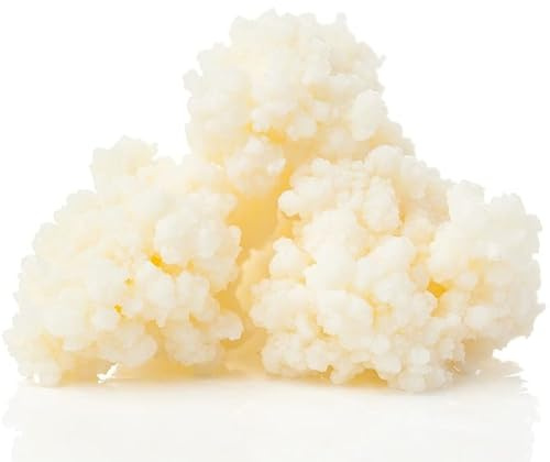 Curly Superfood Bio Kefir 10g - Kefirknollen aus deutscher Herstellung zum einfachen Herstellen von Milchkefir - Frischer Kefirpilz inkl. ausführlicher Anleitung