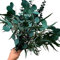 Sporgo 12 PCS Eukalyptus Getrocknet Echt, 3 Arten Gemischte Trockenblumen Deko Echt Eukalyptuszweige Reine Natürliche Trockenblumen Eukalyptusblätter Pflanze für Tischdeko Hochzeit Dekoration