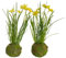 Botanic-Haus künstliche Frühlingsblumen (Narzissen/Osterglocken) im grünen Erdballen, Farbe: gelb (2 Stück)