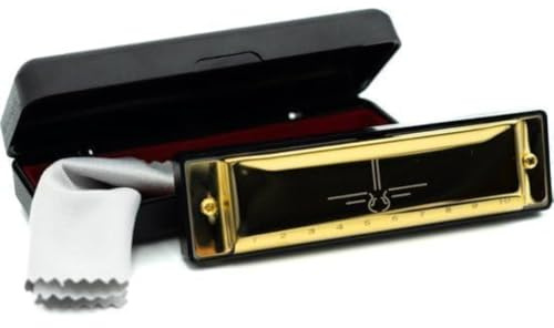 Harmonika C-Dur – Tonart C mit Etui und Reinigungstuch – Musikinstrument für Anfänger und Erwachsene – 10-Loch-Harmonika in C für Schüler (Metallisches-Gold)