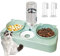 Cat Bowls with Water Bottle, Triple Cat Feeding Bowls 3 in 1 Cat Feeder, Dry and Wet Separation Tilted Food and Water Bowl Set for Cats Kitten Small dogs, with 2 Finger Toothbrushes (Green)
