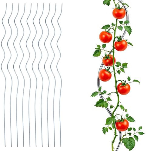 Tomaten Spiralstab galvanizado, 110 cm, juego de 10 unidades - Varilla de metal para plantas de tomate - ayuda para trepar tomate en espiral para plantas
