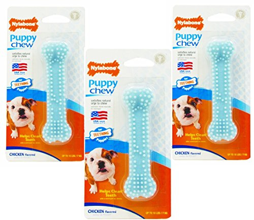 Nylabone Kauknochen mit Hühnergeschmack, 3 Stück