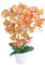 Lacers SmagragdLine Pflegeleichte Orchidee mit Topf orange 60cm - dekorative Kunstpflanze für Wohnzimmer, Büro & Balkon - lebendige Farben, pflegeleicht, naturgetreue Optik, Dekopflanzen