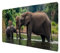 Elefantenfamilie am Fluss Schreibtischunterlage 69x31cm XXL Mauspad Schreibtisch-Deko mit Naturmotiv, perfekt für Tierfreunde