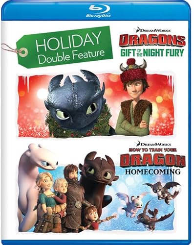 HOW TO TRAIN YOUR DRAGON: GIFT OF THE NIGHT FURY / HOMECOMING HOLIDAY