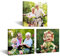 CCWACPP 3 teiliger individueller Leinwanddruck mit Ihren Fotos quadratisch personalisierte Wandbilder auf Leinwand für Baby Familien Paar Geschenke 20x20 cm