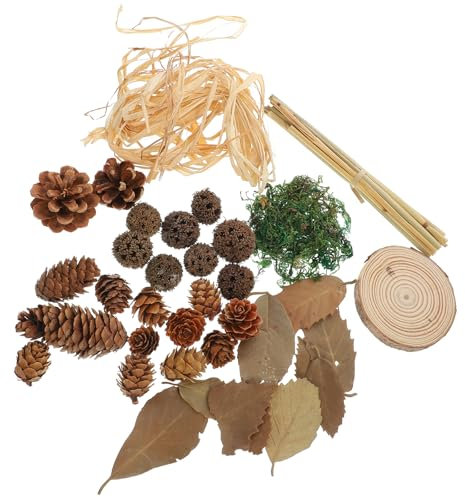 OSALADI 1 Satz Retro-Fotohintergrund Requisiten für die Food-Fotografie Natural Pine Cones Hochzeitsdekoration Blatt-Foto-Requisiten kreative Foto-Requisiten Kiefernzapfen