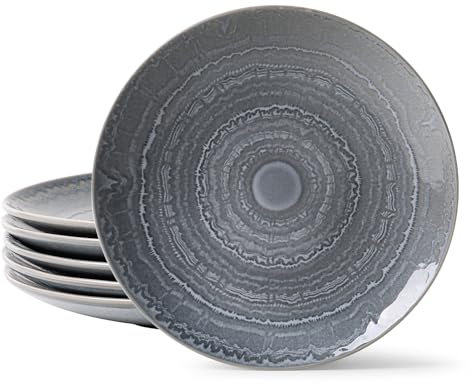 MONITO Ceramic Dinner Plates Set of 6,10.5 Inch Reactive Glaze Porcelain Plates, Dinnerware Dishes Set for Kitchen,Microwave,Dishwasher, Ice Blue