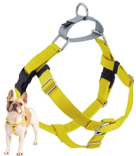 2 Hounds Design Freiheit verhindert Zerren Keine Leine Geschirr nur, 1, 2 x große