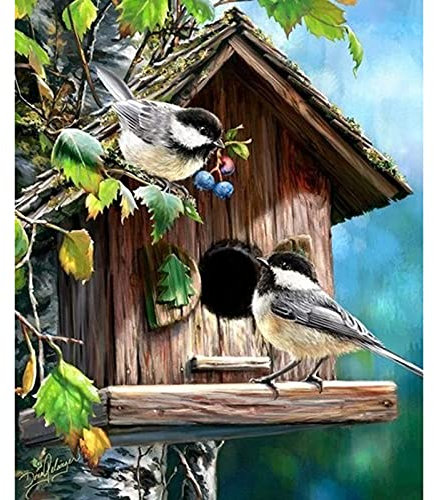Cukol Kreuzstich Stickpackungen Vorgedruckt Set Erwachsene, Vogel Stickvorlagen Stickbilder Vorgedruckt Kreuzstich Stickpackung Zum Sticken Starter Set FüR Erwachsene Kinder AnfäNger, Cross Stitch Kit