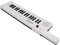 37 Key Keyboard Piano with Microphone ,Slimline and Super compact Portable Guitar Electronic Organ Mini Keytar Beginners Education Musical Instrument(BF 3755 white)