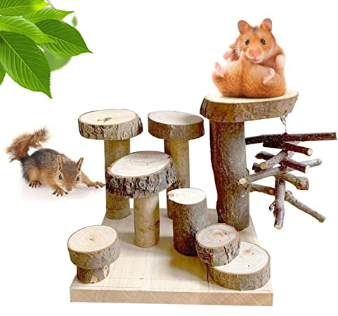 Welhammsae Wooden Hamster Playground Platform, Small Animal Activity Climb Platform with Stair, Hamster Ladder Toy, Natural Living Climb System, Climbing Bridge Ladder Ramps Toys for Mouse Hamster